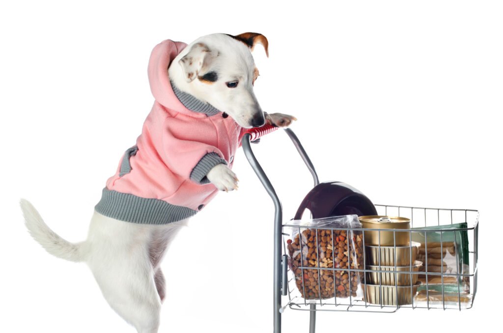 wholesale pet supplies